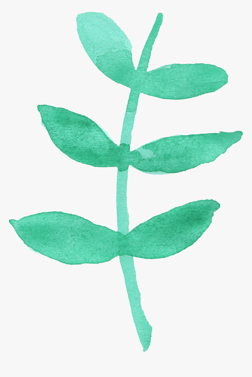 Dry Leaf Png, Transparent Png
