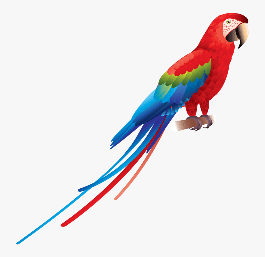 Transparent Parrot Png - Parrot Png, Png Download