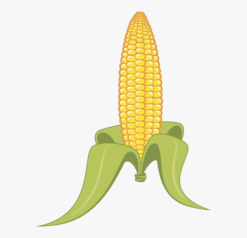Plant,flower,commodity - Clipart Corn On The Cob, HD Png Download