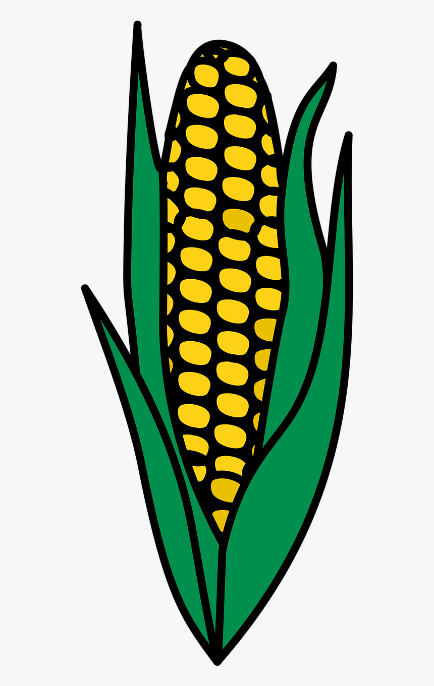 Maize Png Clipart, Transparent Png