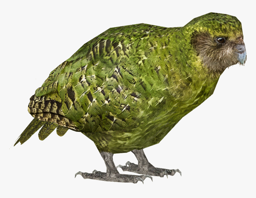 List Button - Kakapo Transparent, HD Png Download