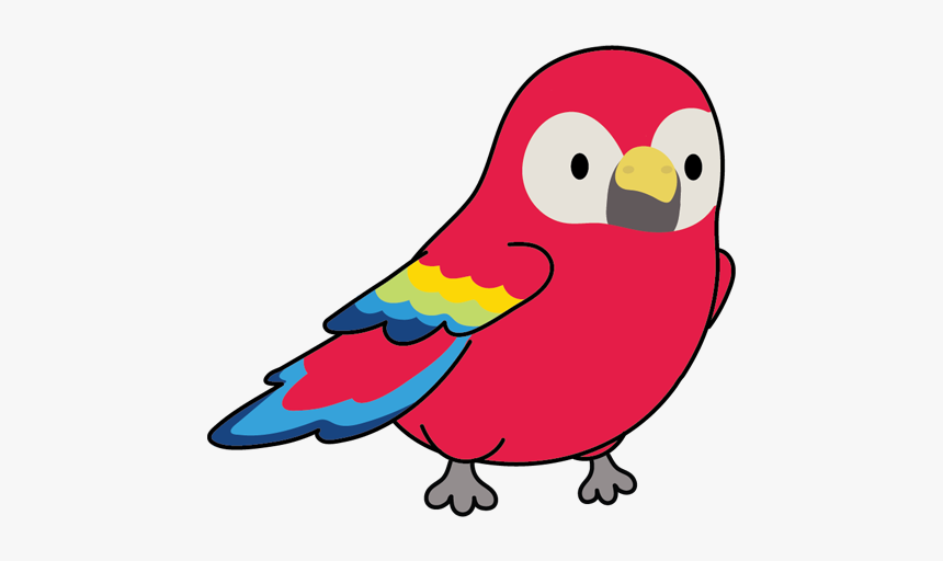 Sorry, Ikomo Coming Soon - Budgie, HD Png Download