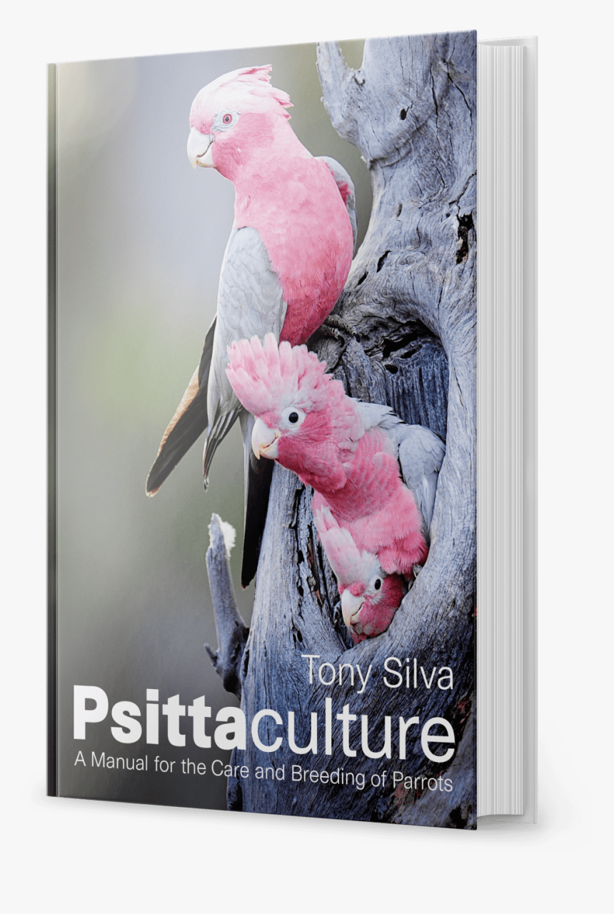 Psittaculture Tony Silva 2018, HD Png Download