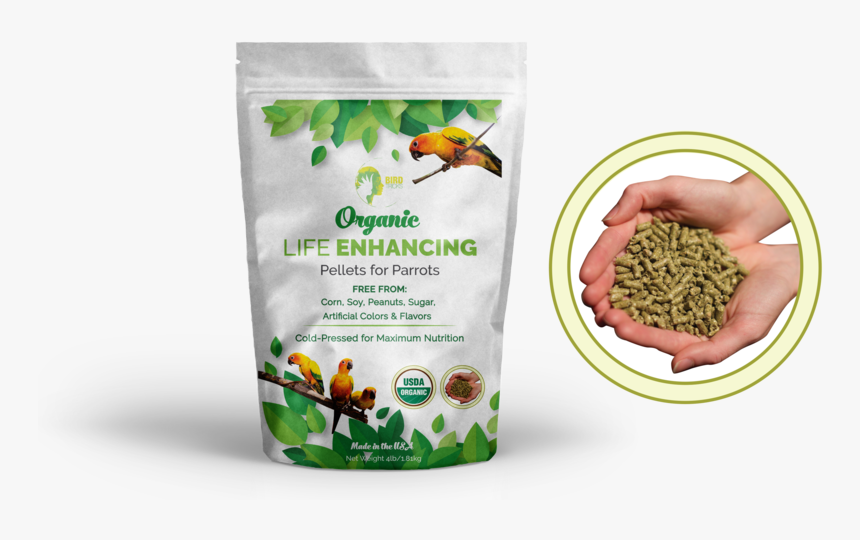 Darul Hadis Latifiah, HD Png Download