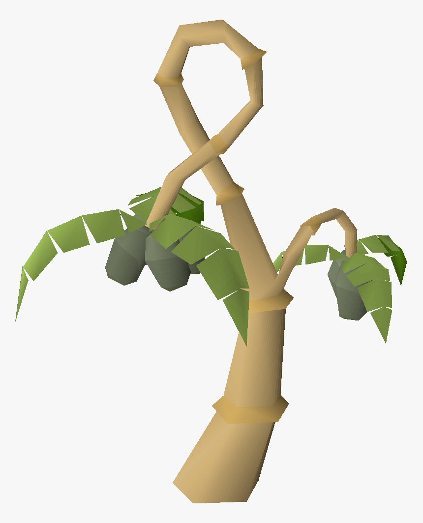 Insect, HD Png Download