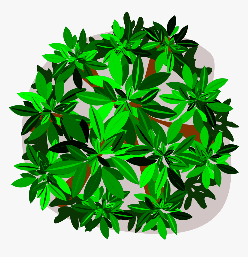 Shrub Tree Encapsulated Postscript Leaf Plant Stem - Clip Art, HD Png Download