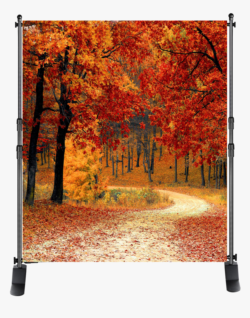 Photo Backgrounds From $100 - Heart Lake Brampton Fall, HD Png Download