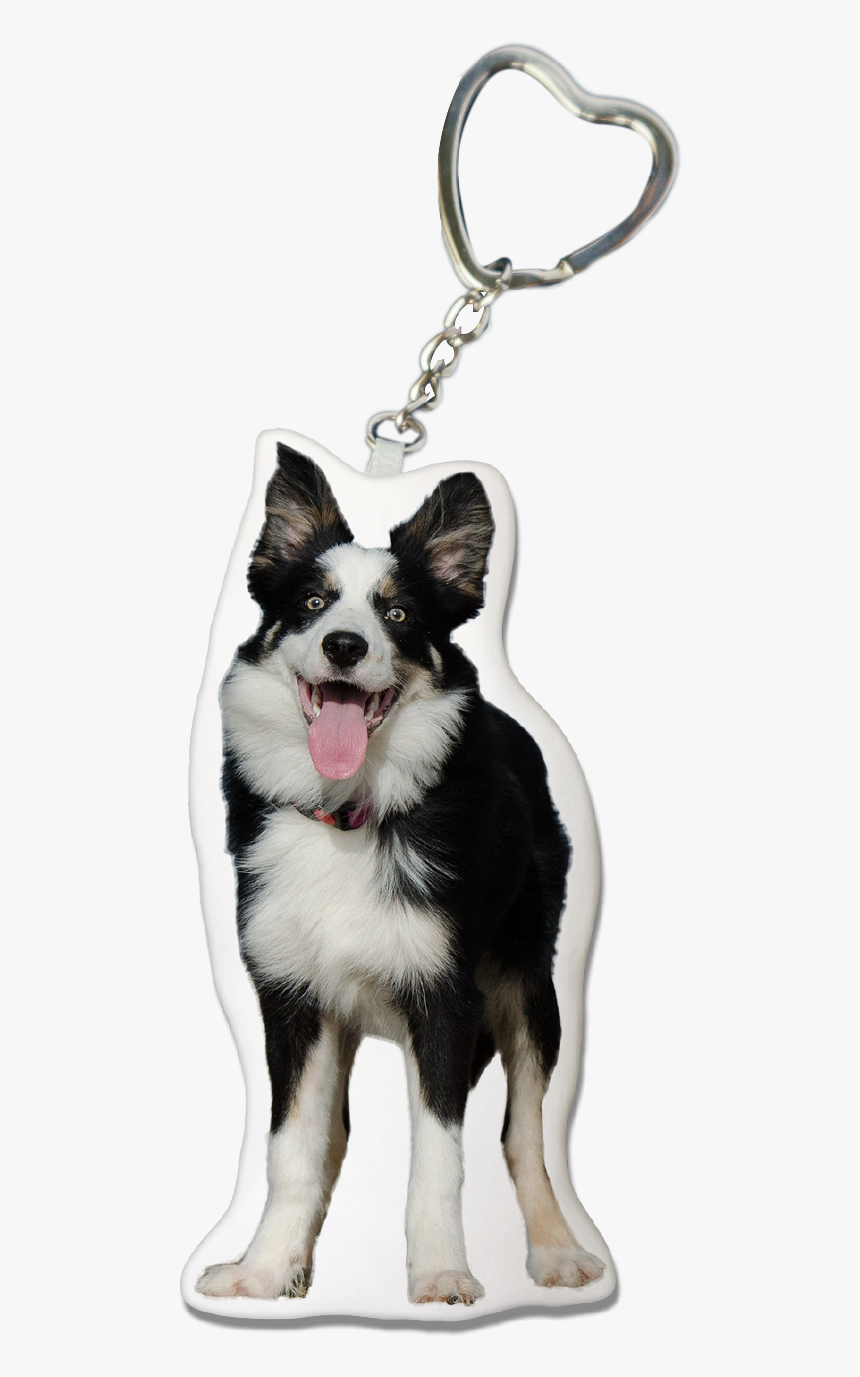 Collie Dog Keychain - Keychain, HD Png Download