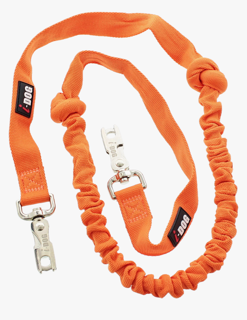 Photo Laisse One Png - Leash, Transparent Png