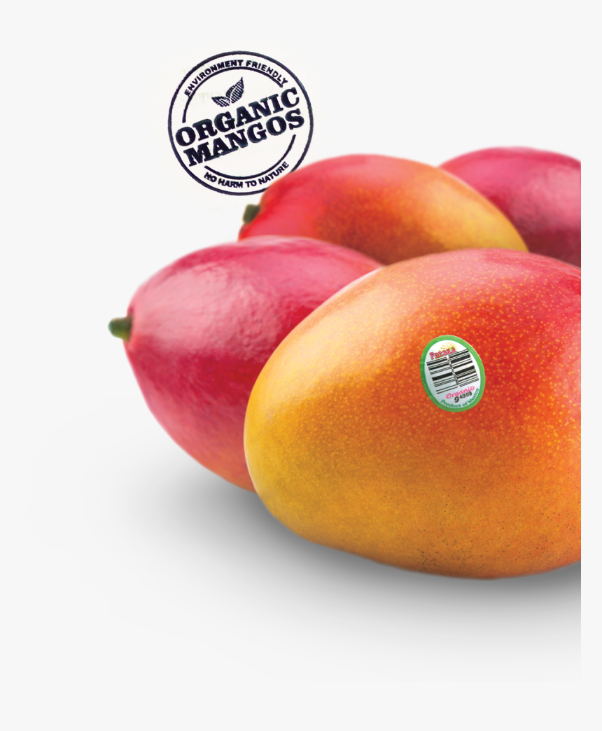 Nectarines, HD Png Download