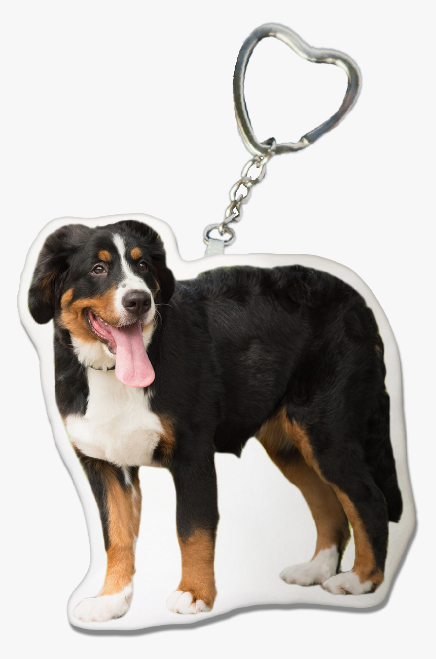 Bernese Mountain Dog Keychain - Bernese Mountain Dog, HD Png Download