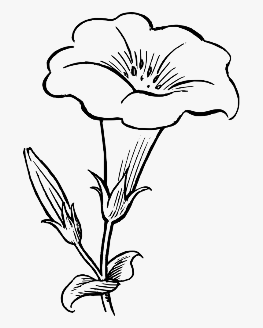 Lily Clipart Funeral Wreath - Flower Clipart Black And White, HD Png Download