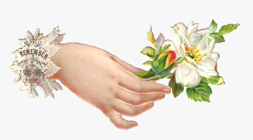 Clipart Hands Flower - Hand With Flower Clipart, HD Png Download
