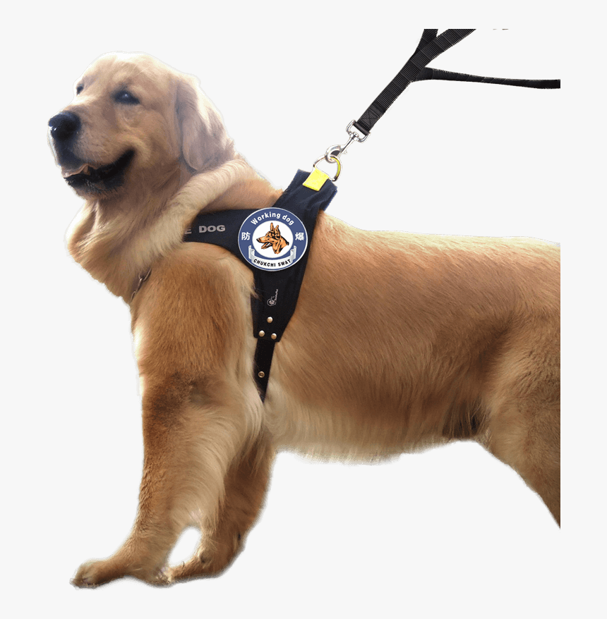 Chukchi Dog Chain Rope Large Dog Walking Dog Rope Chest - Coleira De Cachorro Grade, HD Png Download