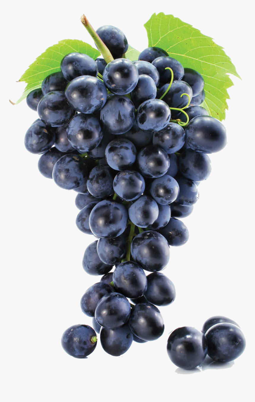 Black Grapes Png Free Background - Grape Png, Transparent Png