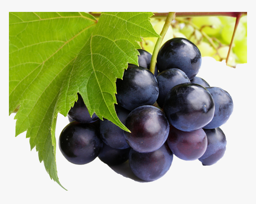 Black Grapes Png Free Commercial Use Images - Grape High Resolution, Transparent Png
