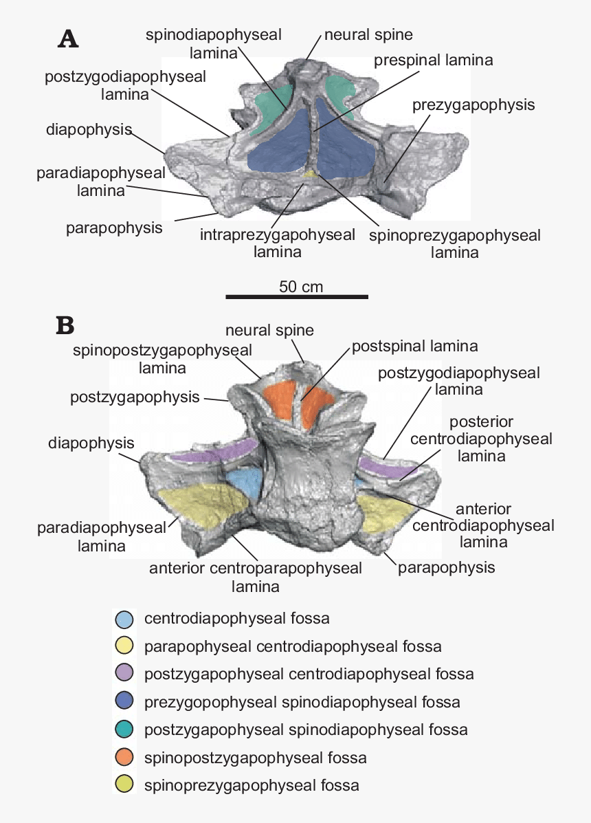 Mata Rani Png, Transparent Png
