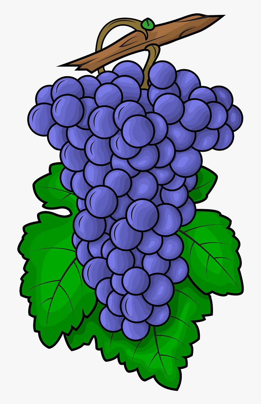 Grape, HD Png Download