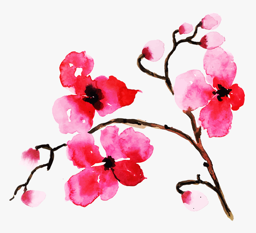 Gilliflower, HD Png Download