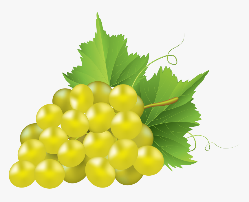 White Grape Transparent Png Clip Art Image - White Grape Clipart, Png Download