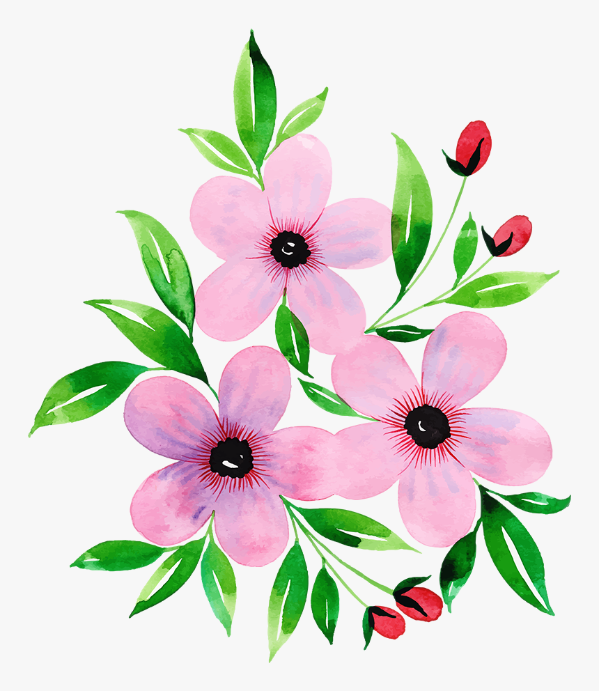 Rosa Glauca, HD Png Download