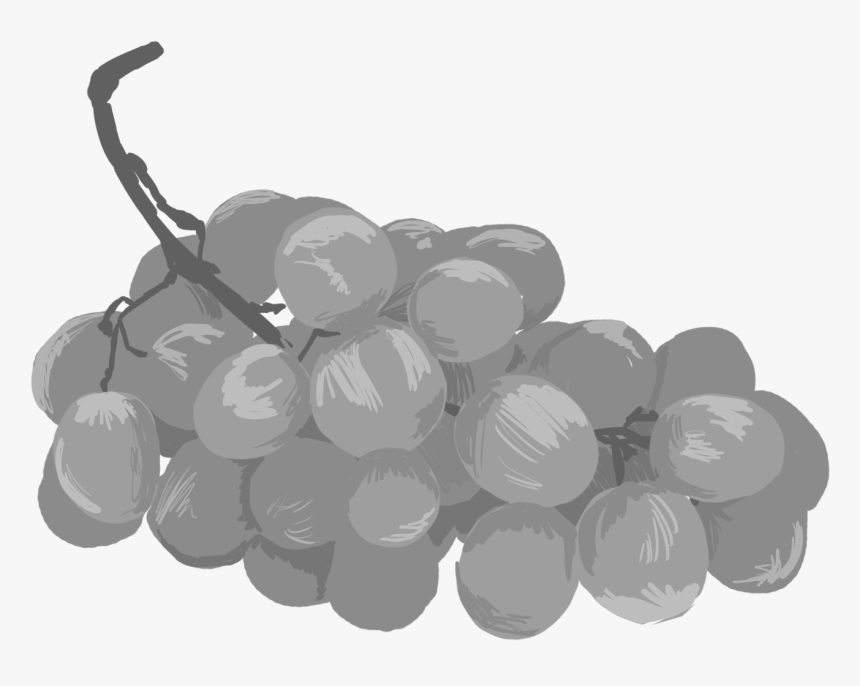 Seedless Fruit, HD Png Download