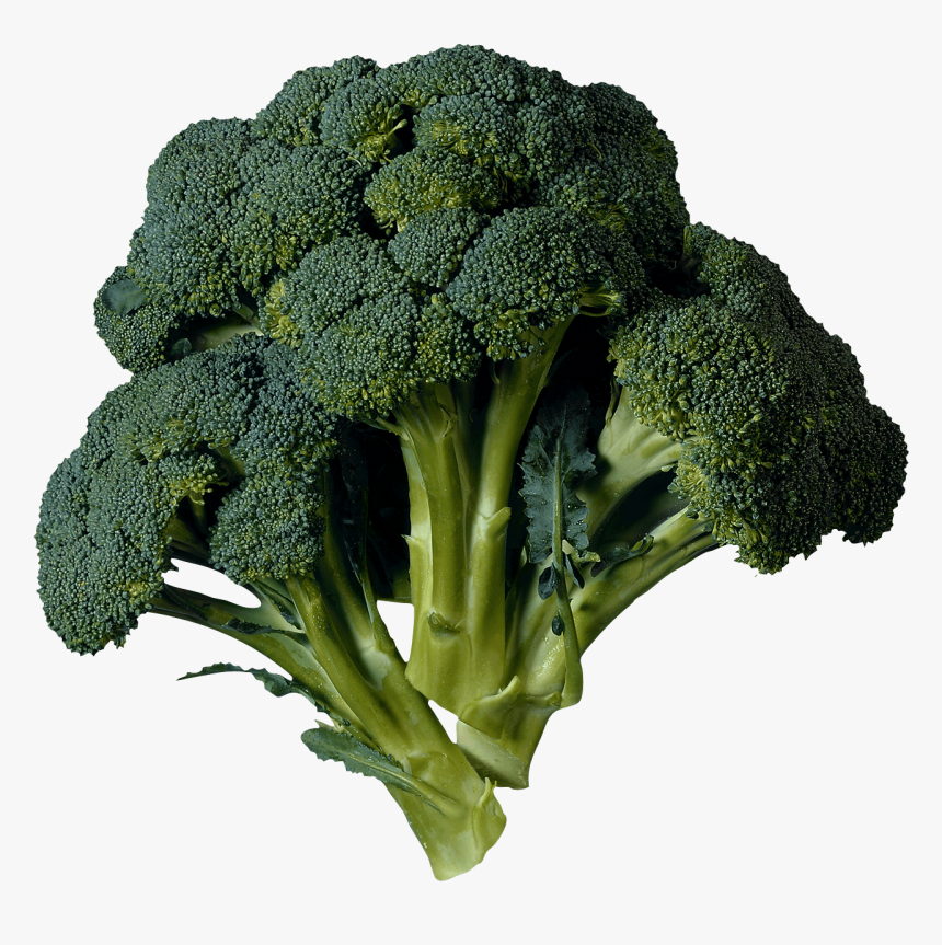 Dark Green Broccoli - Green Flower Vegetable Name, HD Png Download