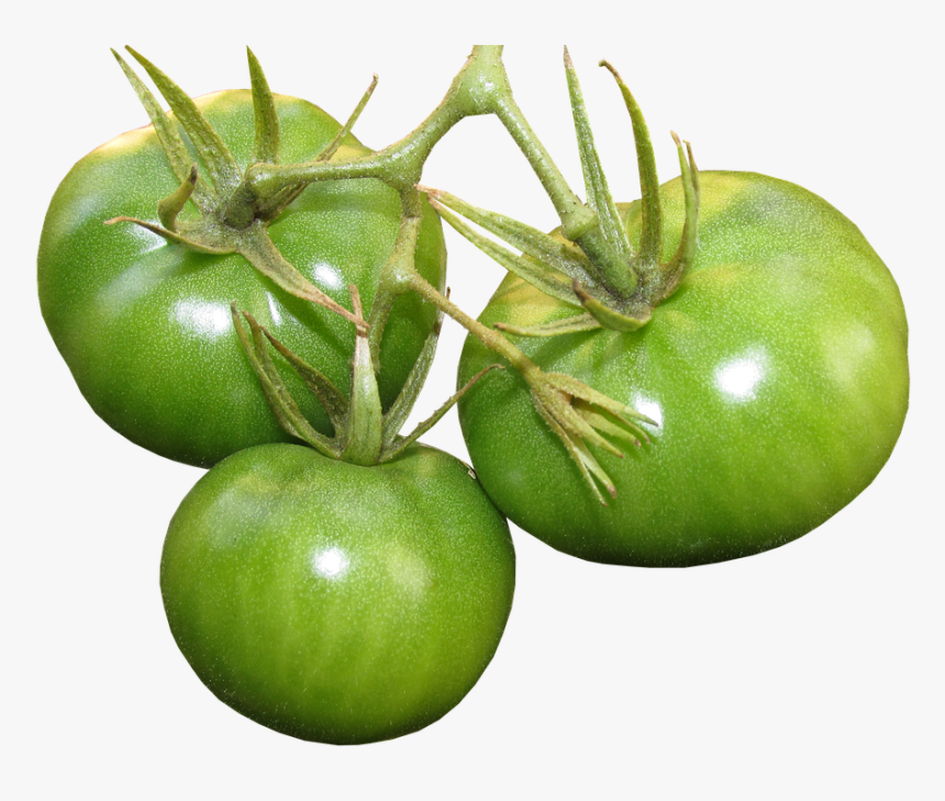Tomatoes, Green, Food, Vegetables, Organic - Planta De Tomate Verde Png, Transparent Png