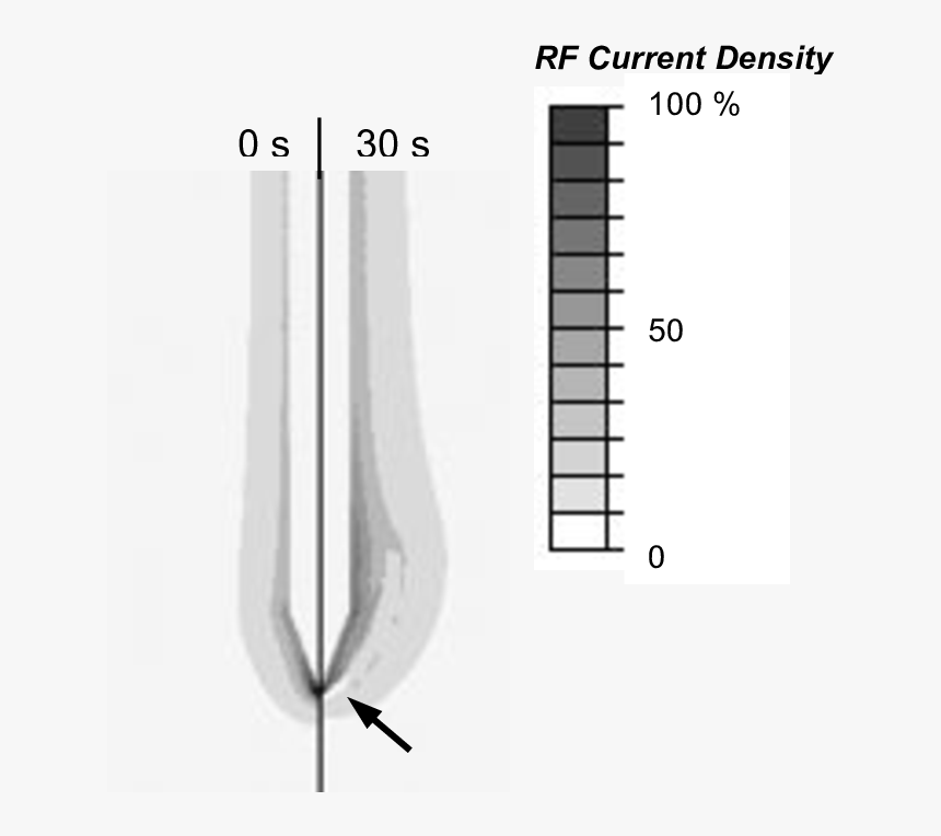 Sketch, HD Png Download