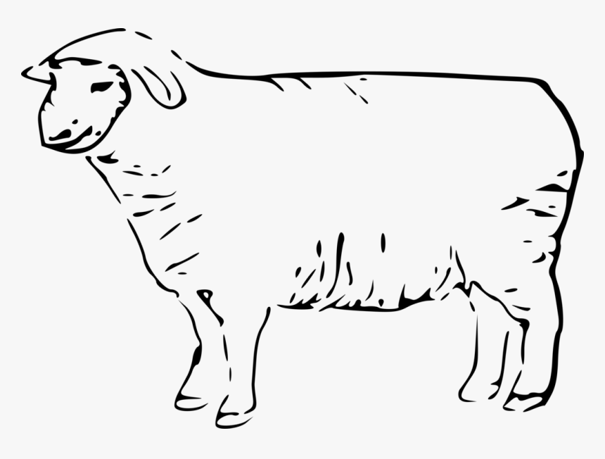 Art,monochrome Photography,carnivoran - Clip Art Sheep Black And White, HD Png Download