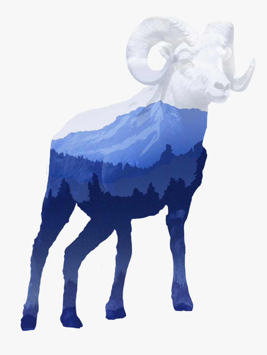 Bighorn, HD Png Download