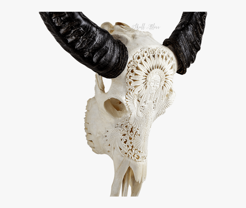 Carved Buffalo Skull - Mandala Skull Carving, HD Png Download