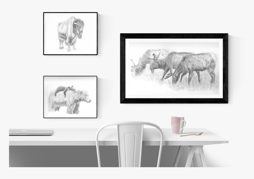 Image Of Big Horned Sheep - African Elephant, HD Png Download