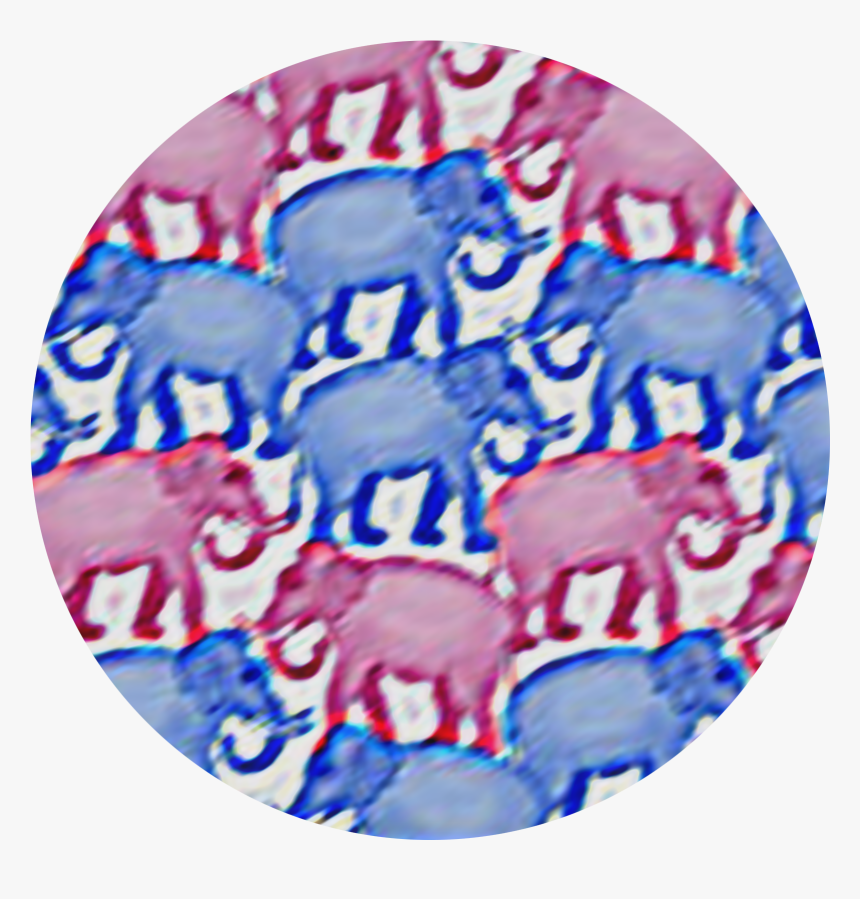 Indian Elephant, HD Png Download