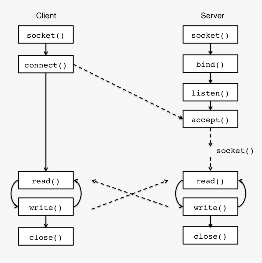Lec23 Client Server Socket - Client Server Socket, HD Png Download