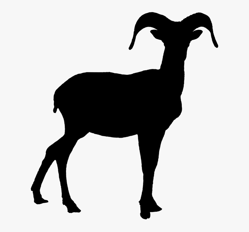 Skull Clipart Bighorn Sheep For Free Download And Use - Bighorn Sheep Black And White, HD Png Download