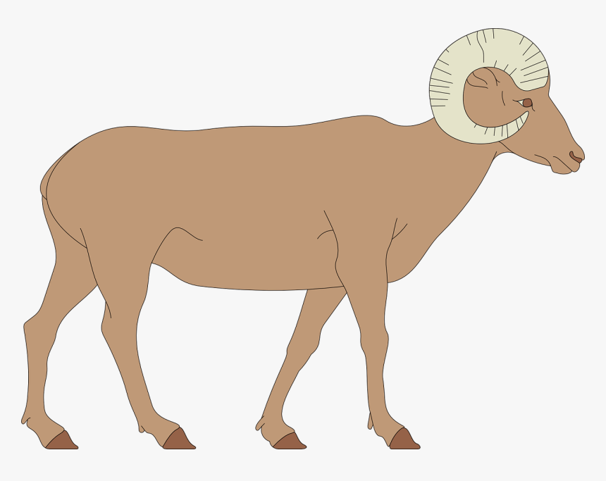 Bighorn Sheep Clipart, HD Png Download