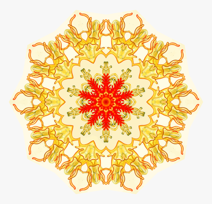 Orange,symmetry,yellow - Happy 55th Wedding Anniversary, HD Png Download