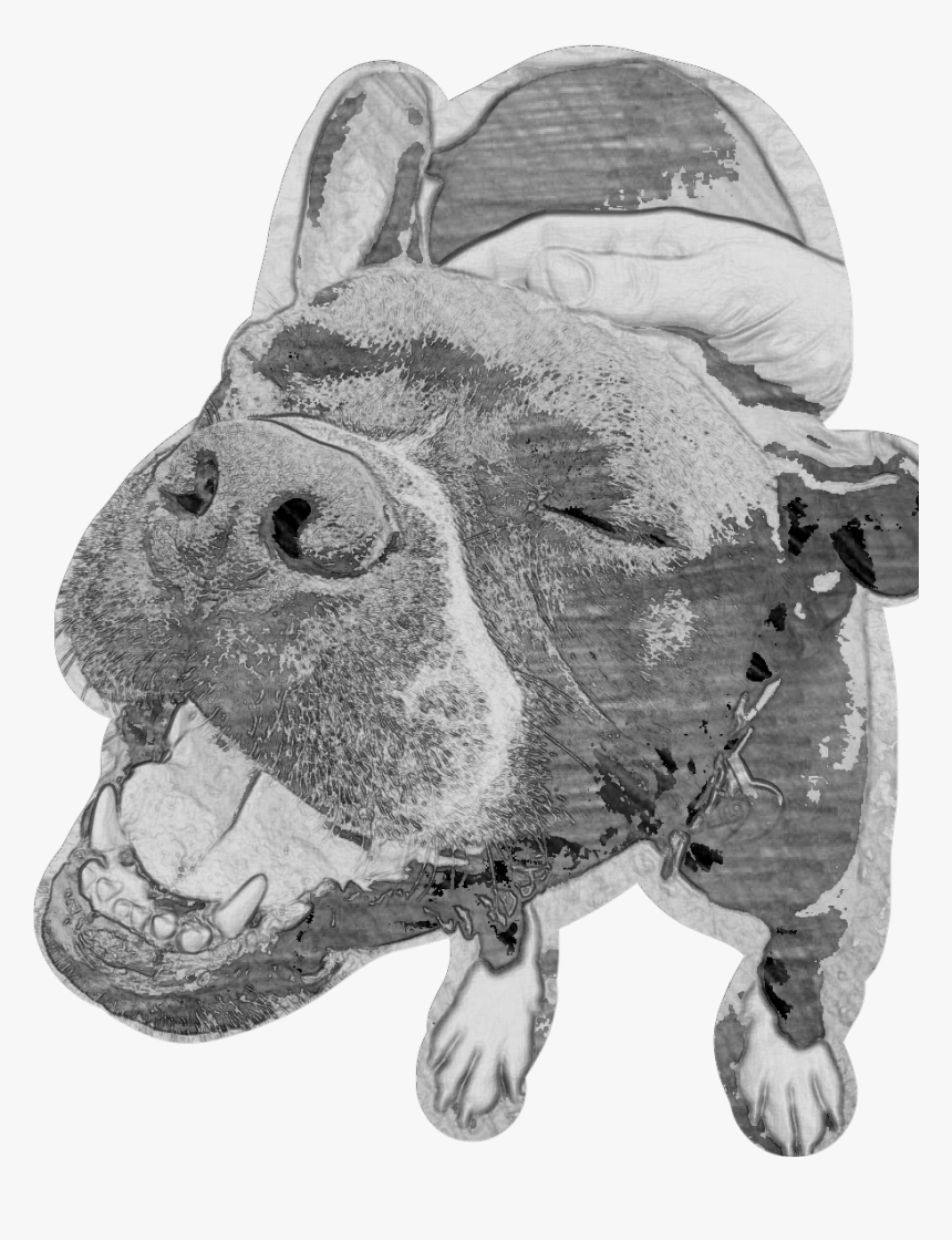 #general - Illustration, HD Png Download