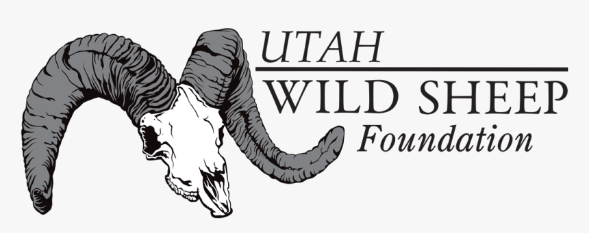 Wild Sheep Foundation, HD Png Download