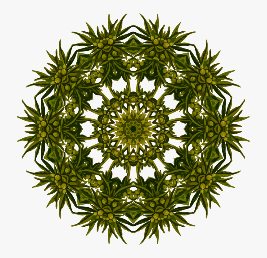 Plant,flower,tree - Illustration, HD Png Download