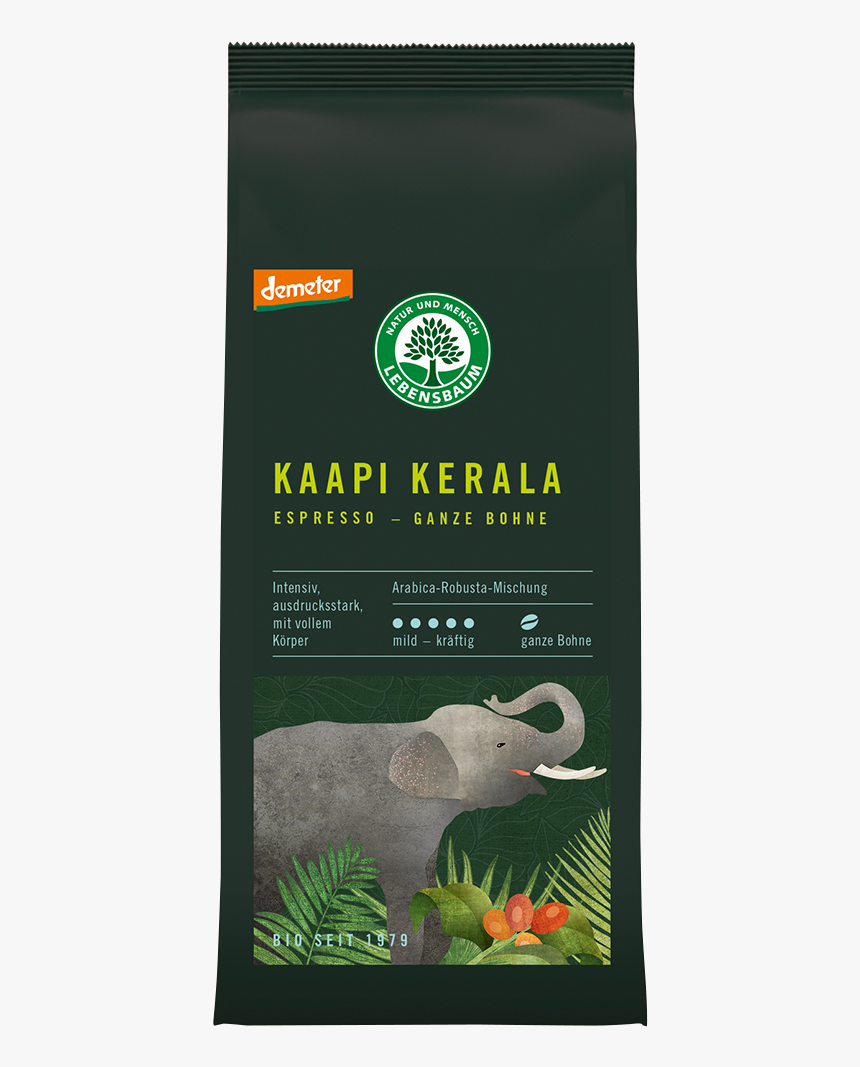 Kerala Elephant Png, Transparent Png