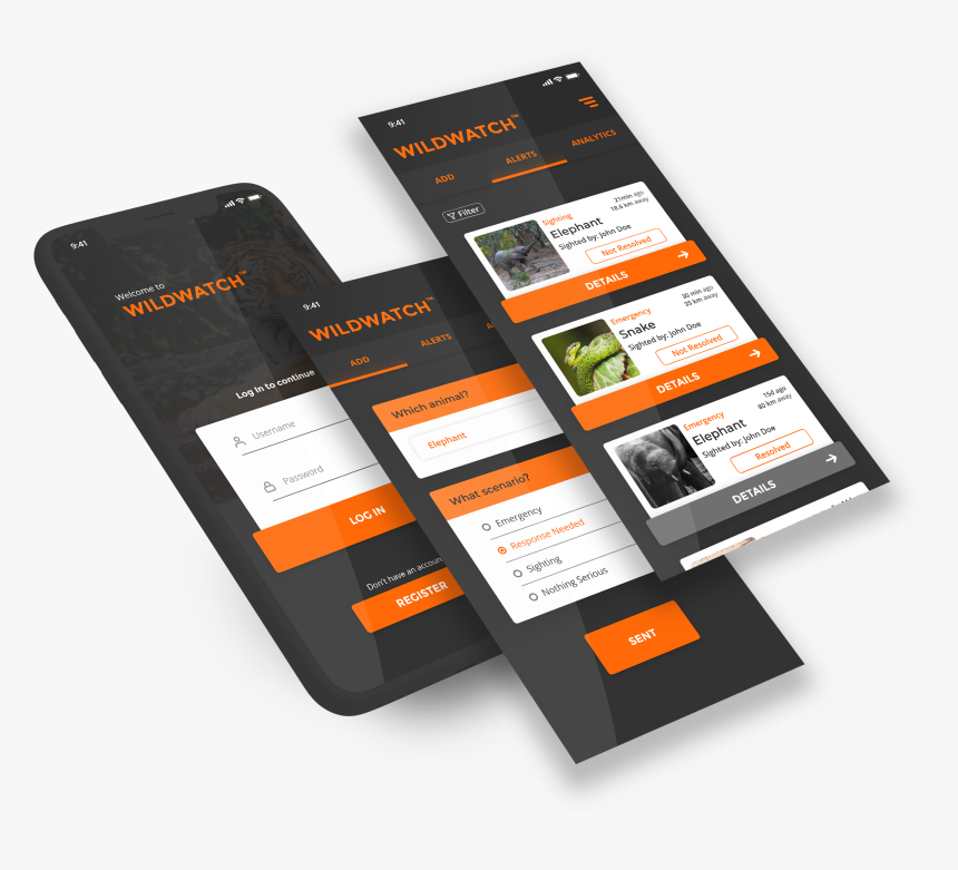 Flyer, HD Png Download