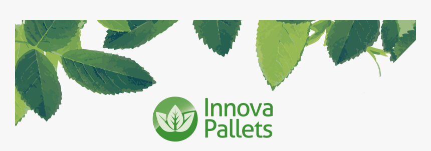 Slippery Elm, HD Png Download