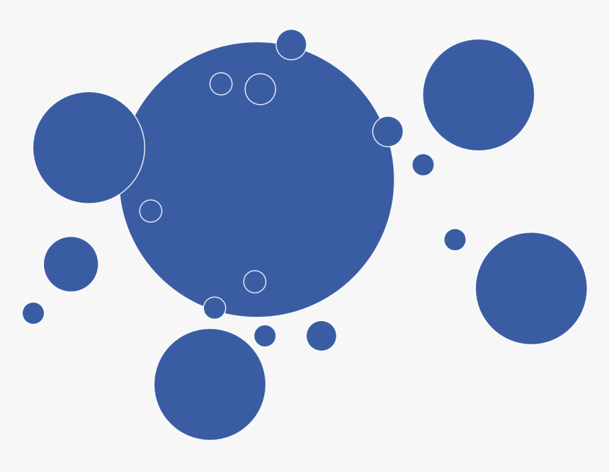 Leadership Lessons From Ants, HD Png Download