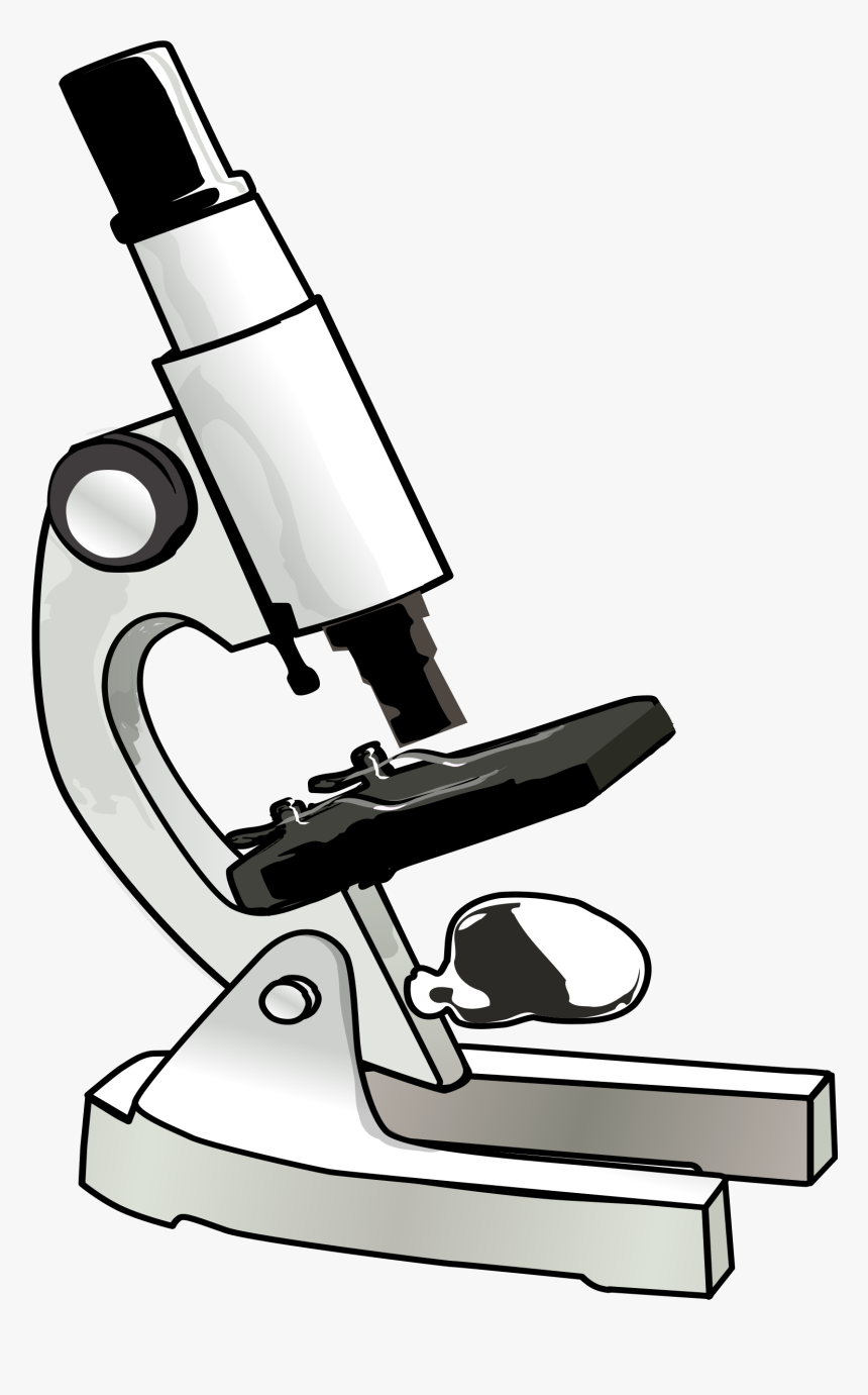 Free Microscope Cliparts, Download Free Clip Art, Free - Microscope Clipart, HD Png Download