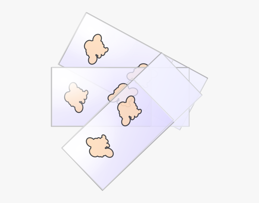 Slide Microscopy Bone2 Clip Art At Clker - Cartoon, HD Png Download