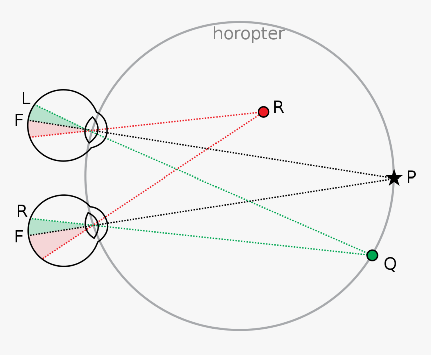 Diagram, HD Png Download