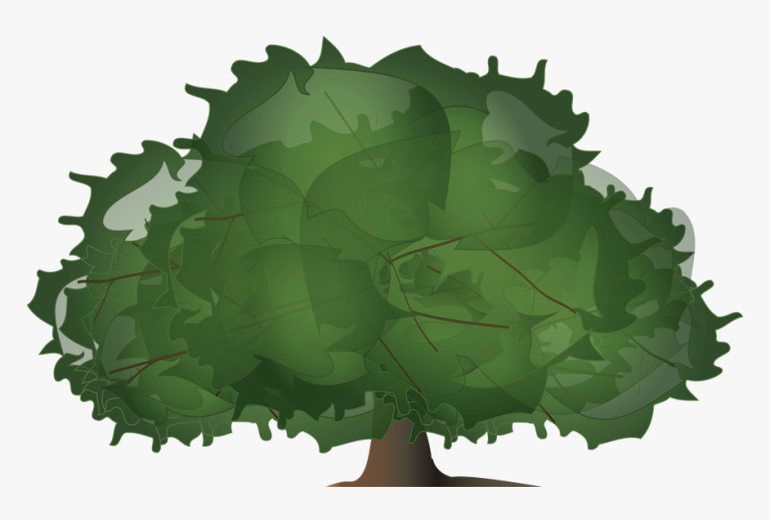 Tree, Wood, Paper, Leaves, Plant, Bush, Foliage - Illustration, HD Png Download
