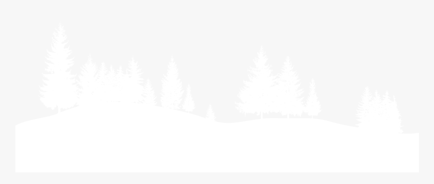 Tree , Png Download - Western Yellow Pine, Transparent Png